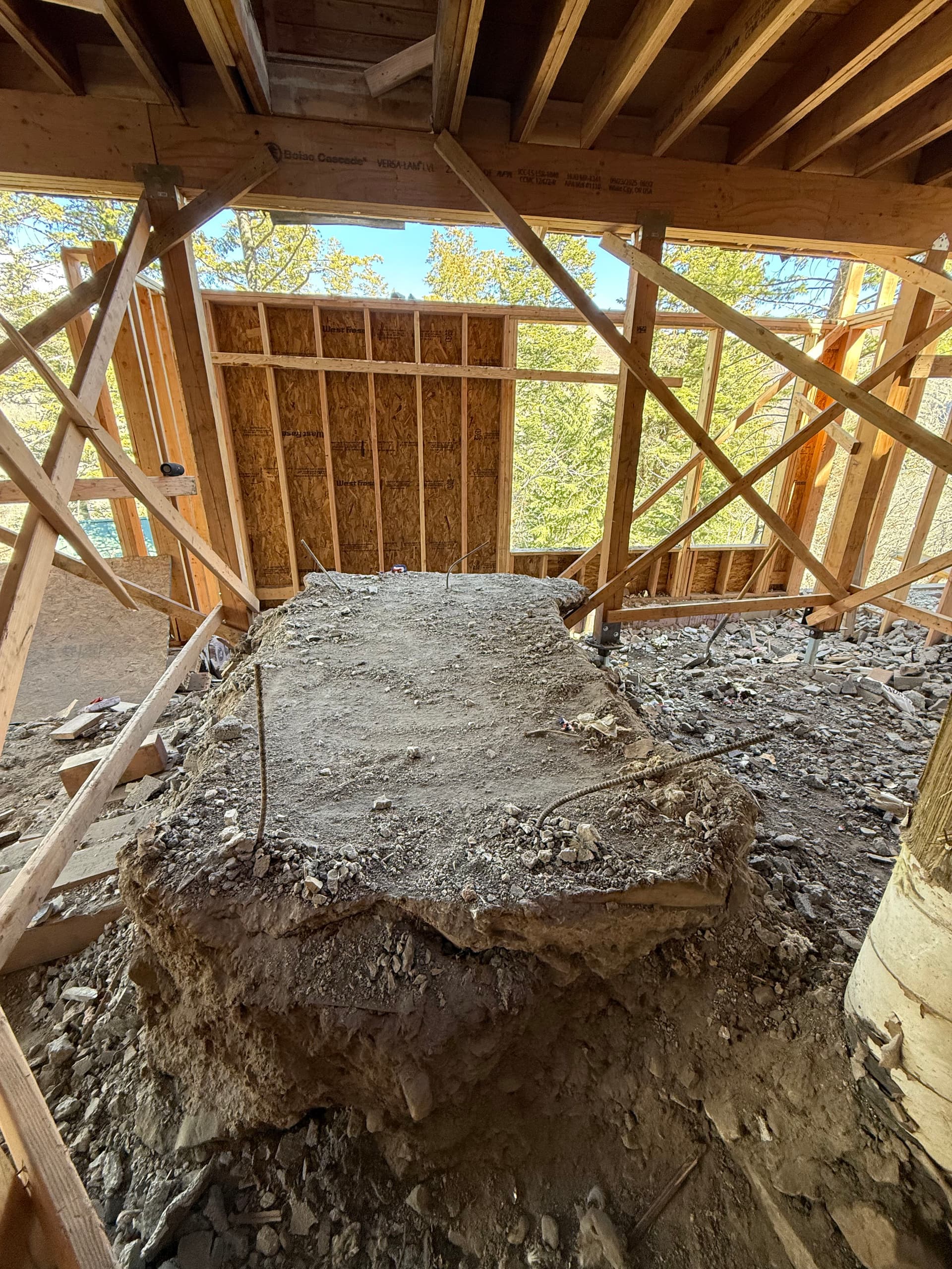 Gallery photos for Chimney Brick Cleanup in the Utah Mountains: Image #4