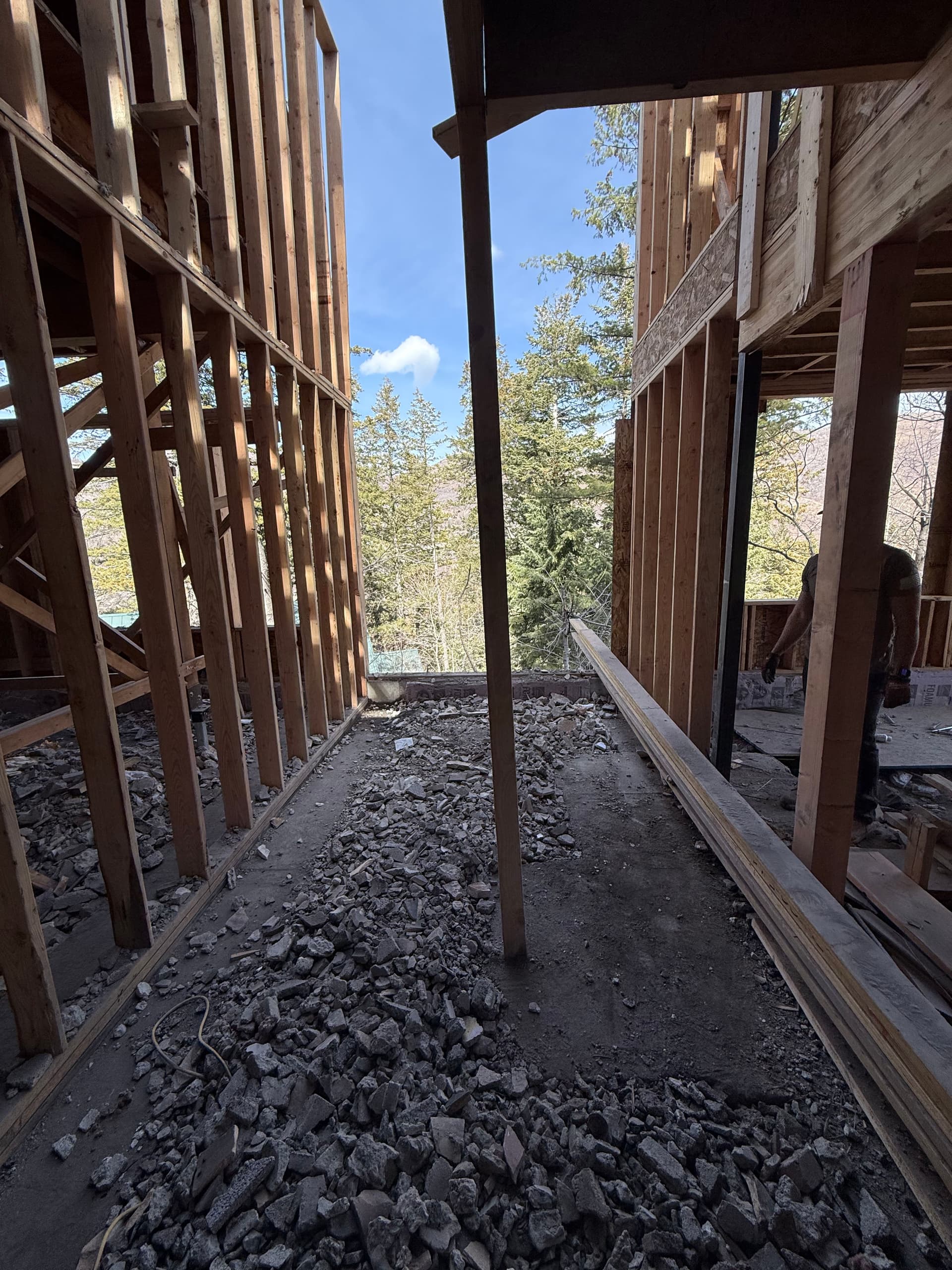 Gallery photos for Chimney Brick Cleanup in the Utah Mountains: Image #2