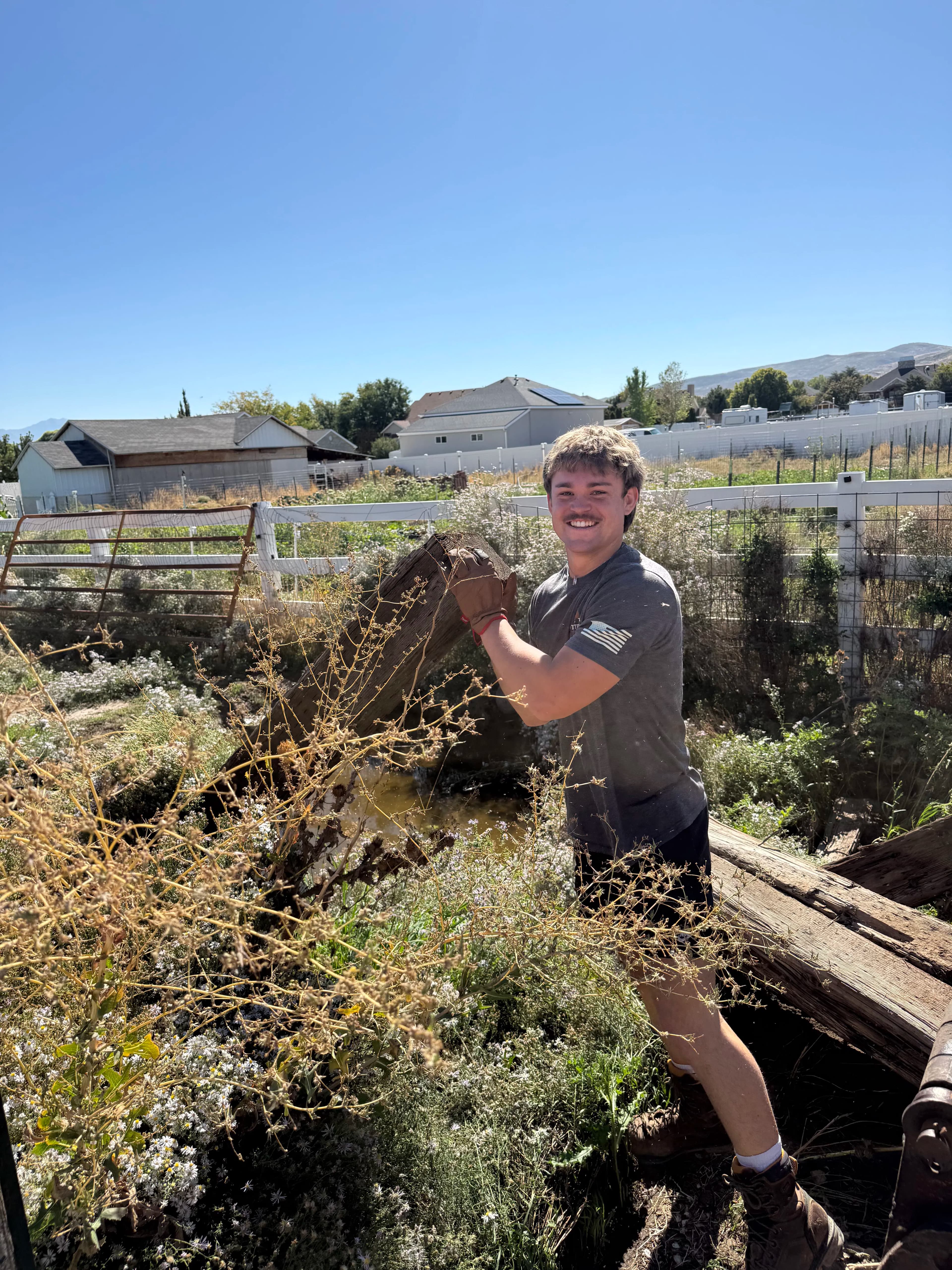 Project Yard Debris Removal Done Right in Bluffdale image