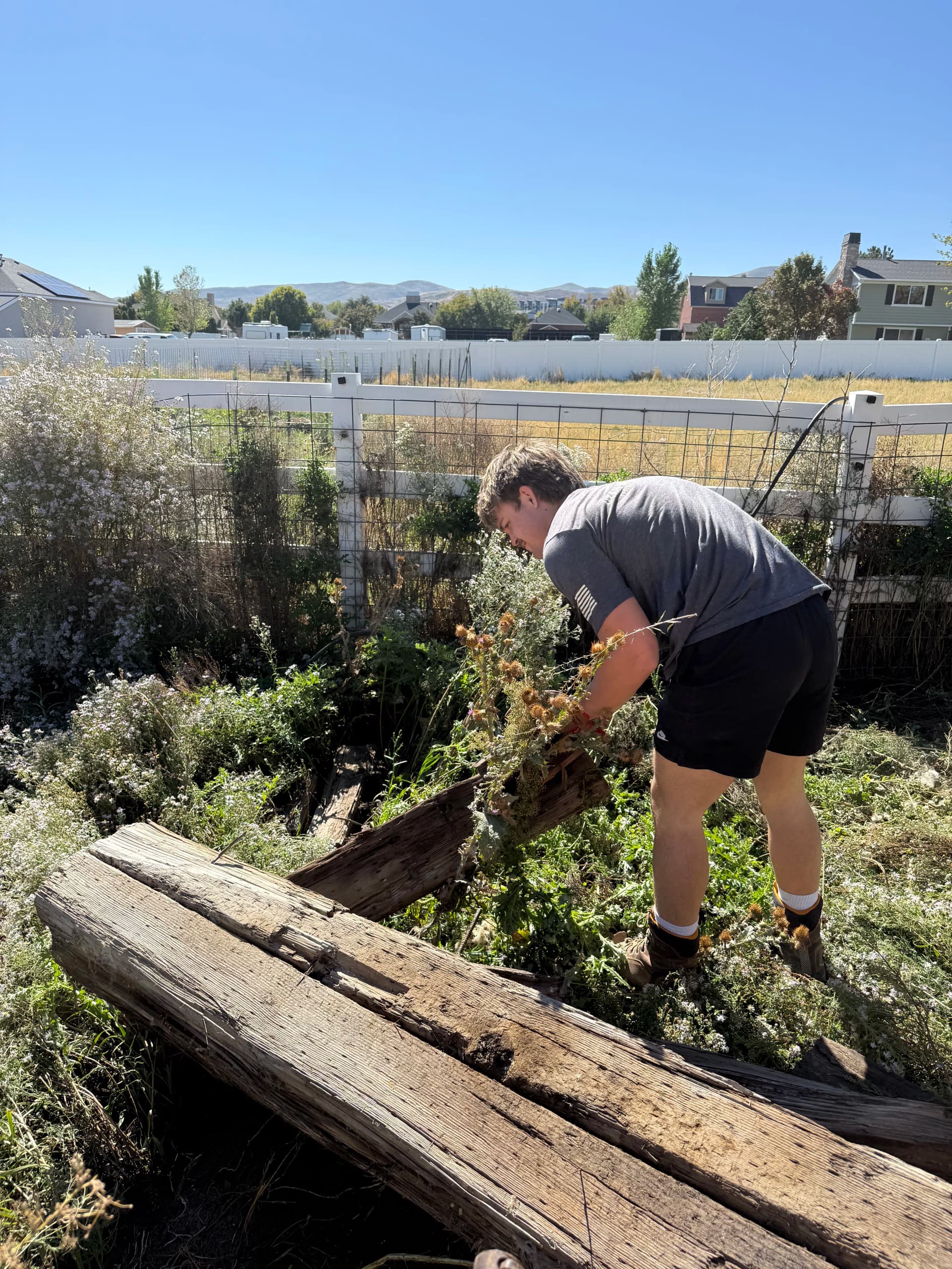 Gallery photos for Yard Debris Removal Done Right in Bluffdale: Image #1
