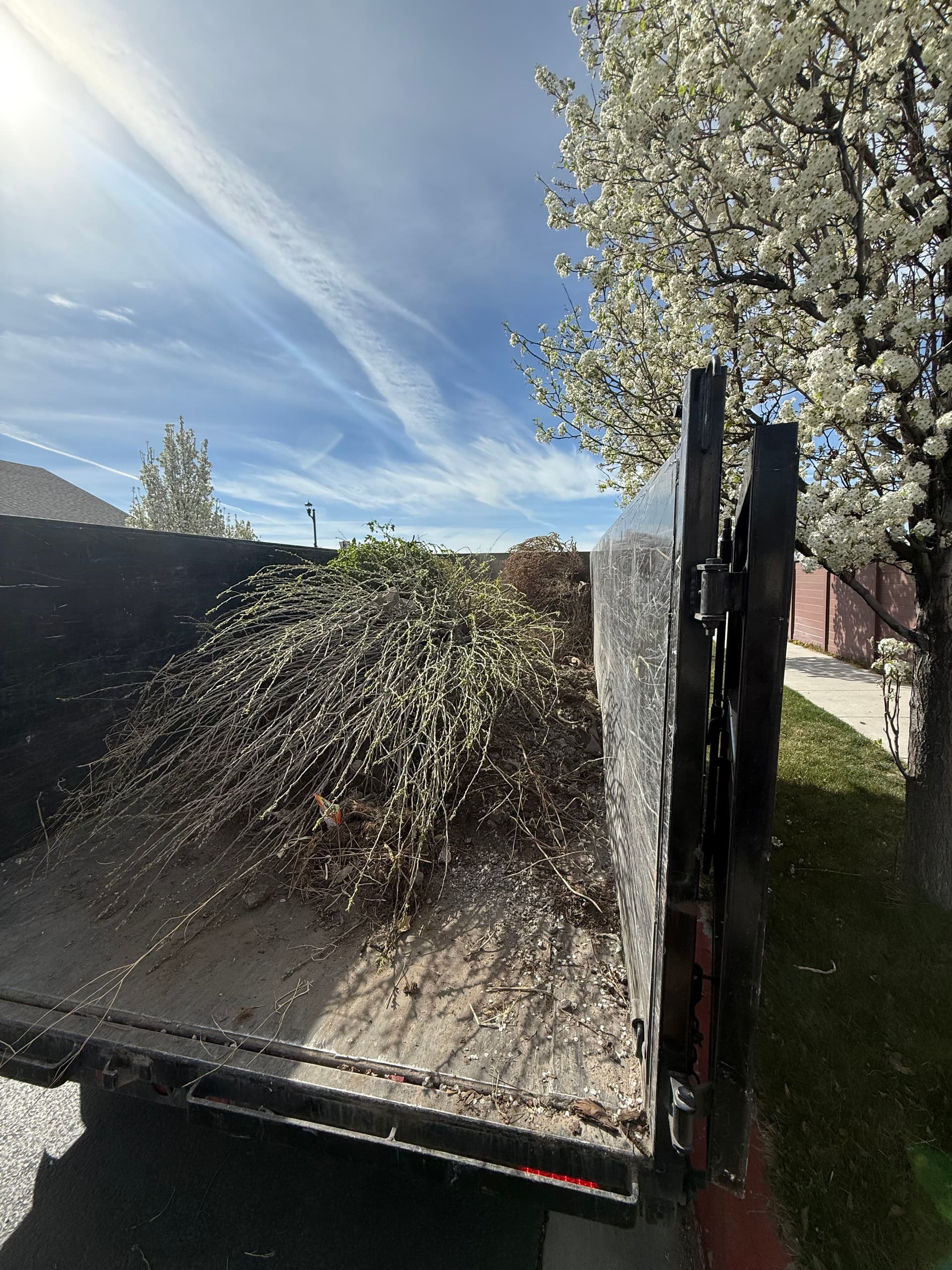 Gallery photos for Yard Cleanup Success in Vineyard Utah: Image #3