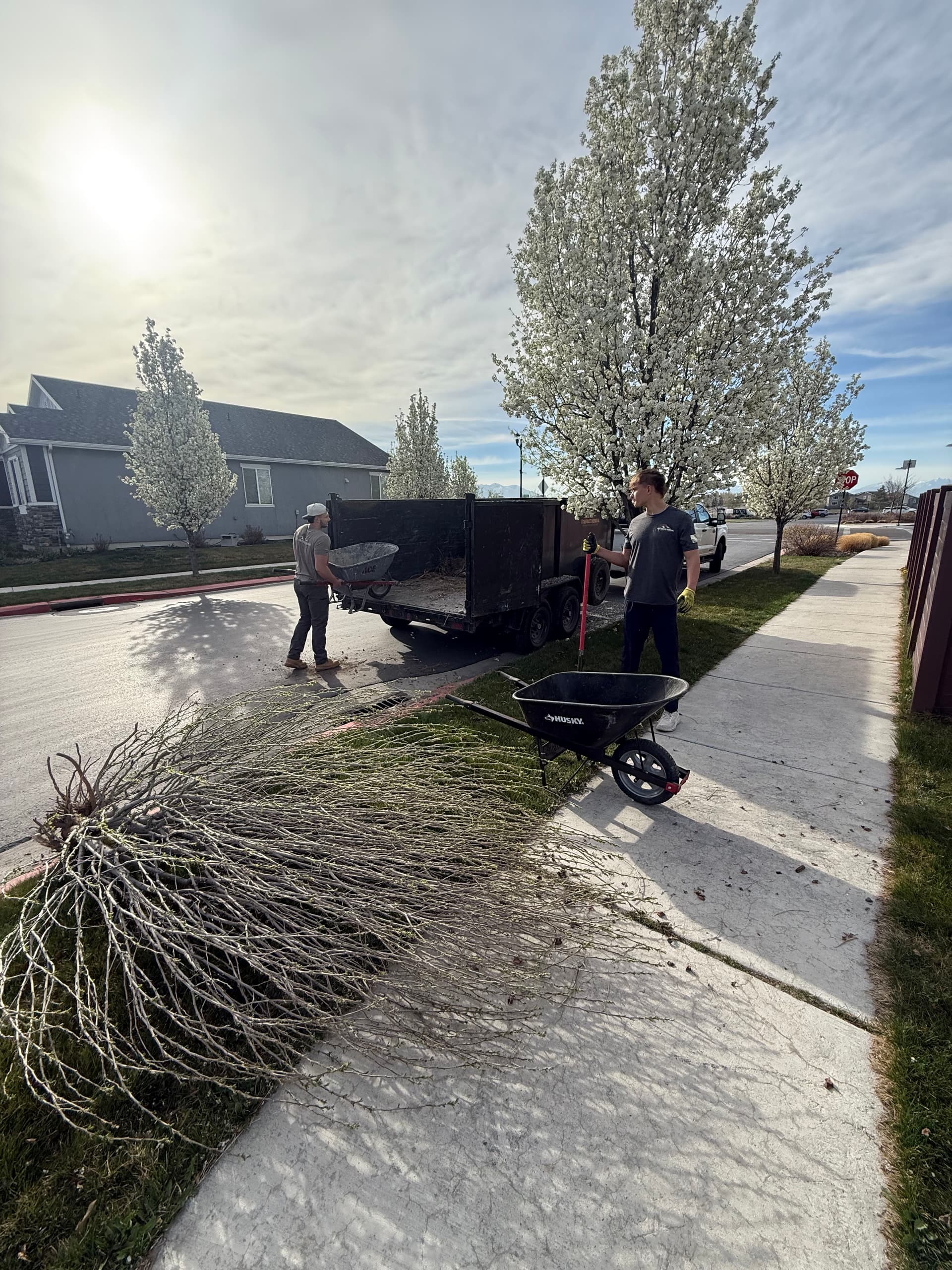 Gallery photos for Yard Cleanup Success in Vineyard Utah: Image #2