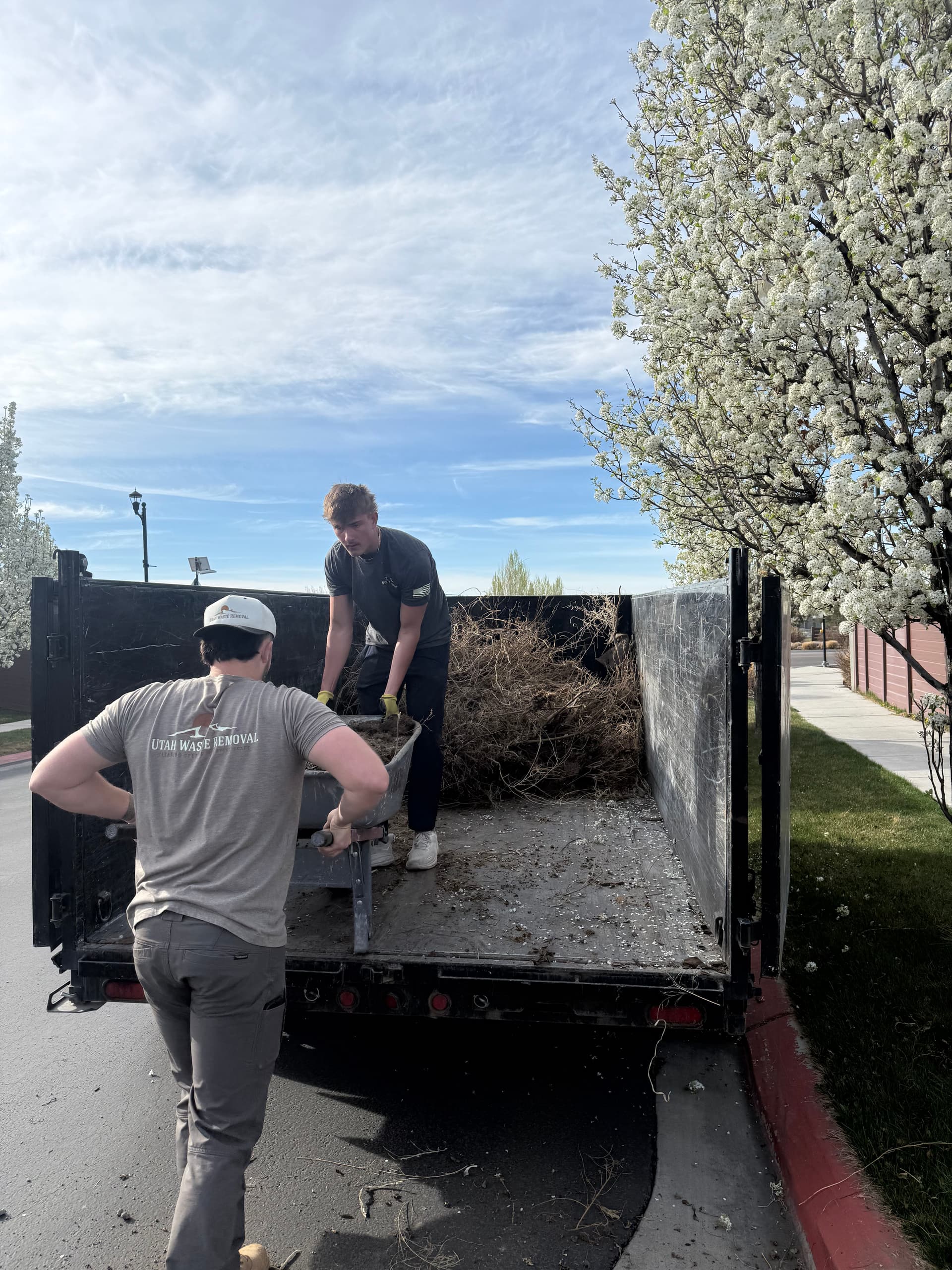 Gallery photos for Yard Cleanup Success in Vineyard Utah: Image #1