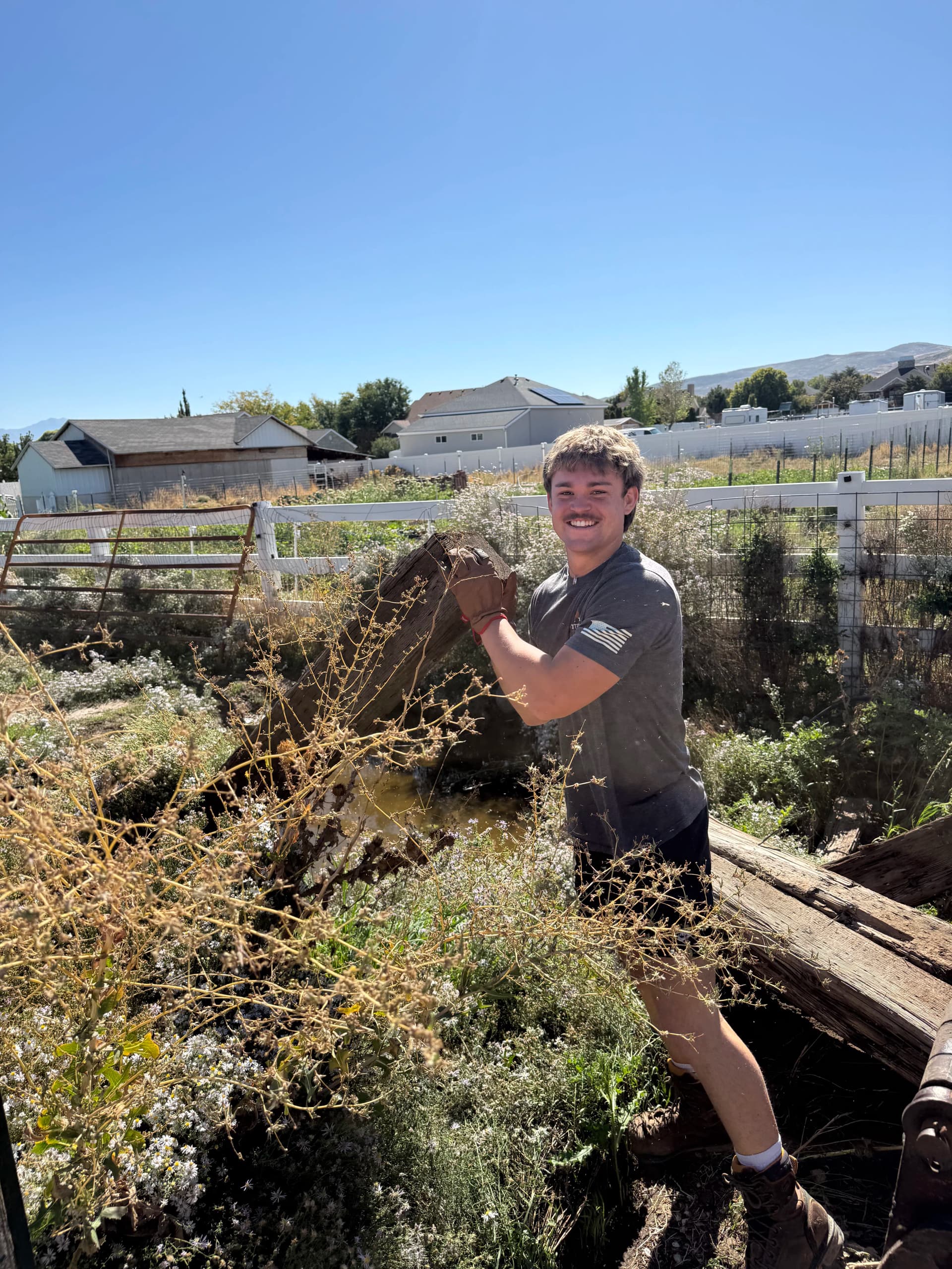 Yard Debris Removal Done Right in Bluffdale image
